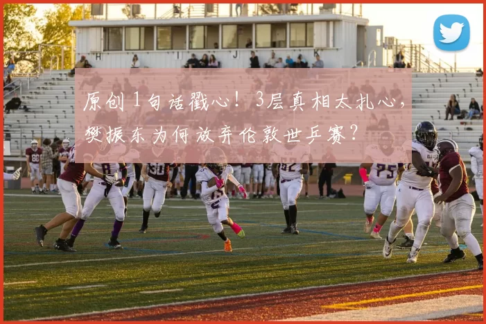 原创 1句话戳心！3层真相太扎心，樊振东为何放弃伦敦世乒赛？