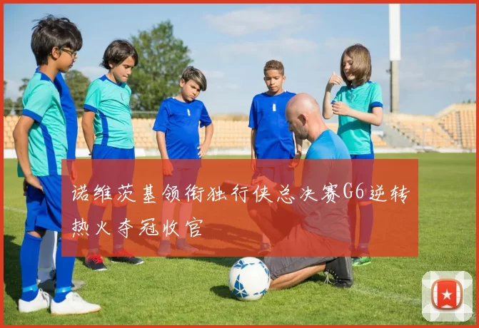 诺维茨基领衔独行侠总决赛G6逆转热火夺冠收官